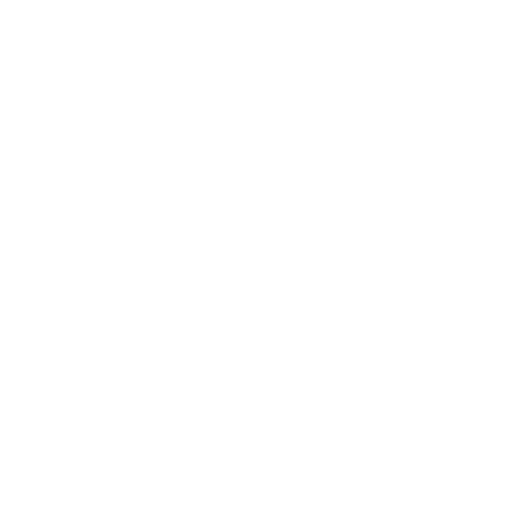 soltect logo pion white phd